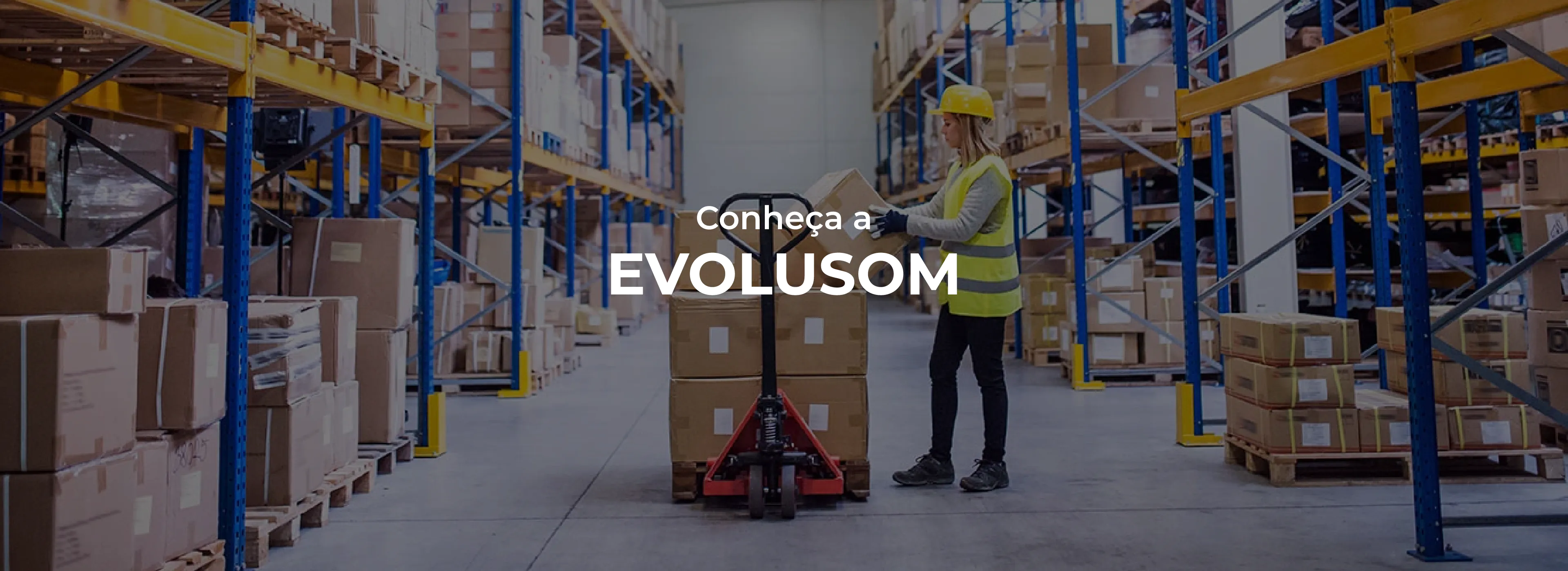 Conheça a Evolusom